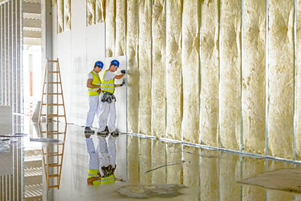 Best Residential Insulation in Grabill, IN